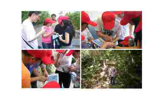 拓展項目--定向?qū)?></div>
                                        <div   id=